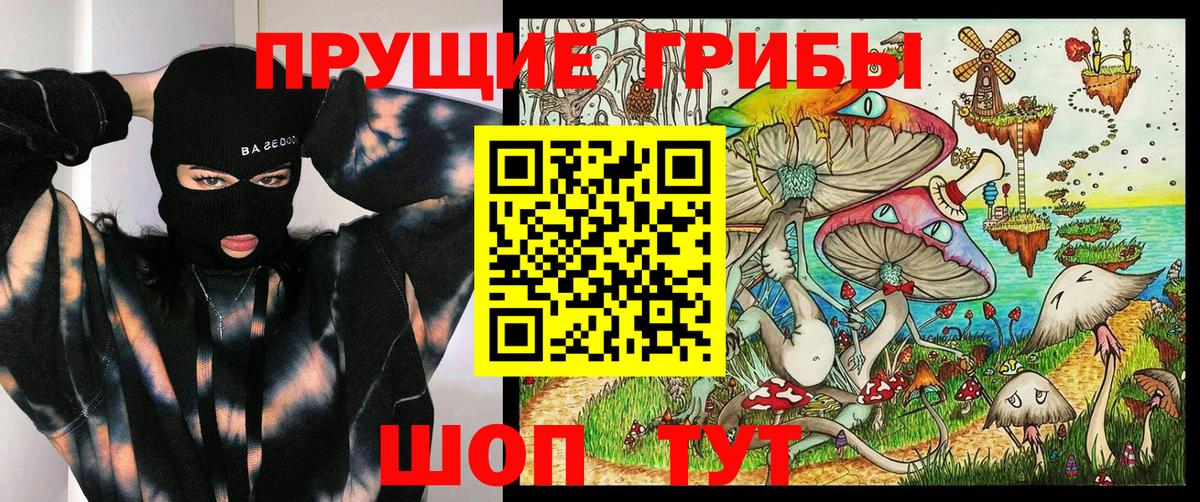 Королёв  Псилоцибиновые грибы Psilocybine cubensis  Вход с VPN 